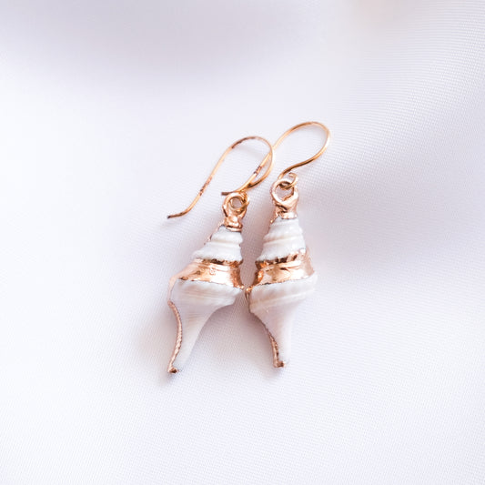 Spiral Shell Hook Earrings