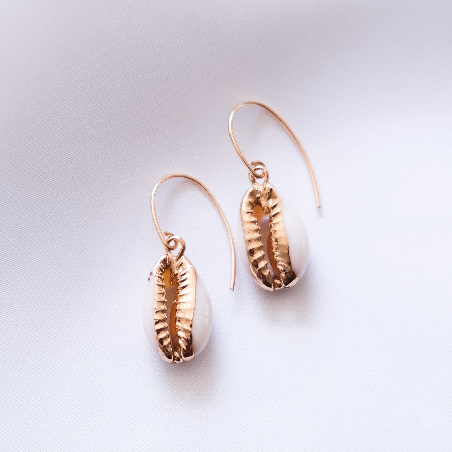 Cowrie Shell Hook Earrings