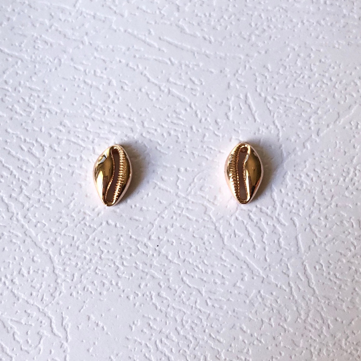 Mini Cowrie Shell Studs